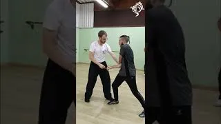Miniature : C'est enfin la rentrée ! #kungfu #wingchun #selfdefense #wushu #orléans