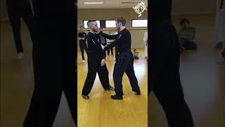Miniature : Kungfu Wing Chun : contrôler et frapper