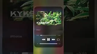 Miniature : SSIWEL x REGGAE[ MELO ]