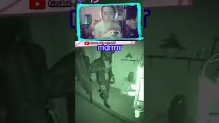 Miniature : mdrrrrrr le cri  #dokkae_the_queen #twitch  #clips #streamer