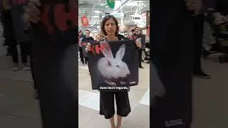 Miniature : 120 militants de L214 infiltrés dans le plus grand Carrefour de France ! 💥