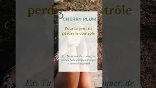 Miniature : La peur est souvent présente dans ta vie ? Voici 5 fleurs de Bach qui peuvent t’aider #fleursdebach