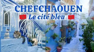 Miniature : Chefchaoune, le fameux bleu indigo 🦋💙🔵🩵🖌️🪁🧞‍♂️🌐🚎🧢🐬
