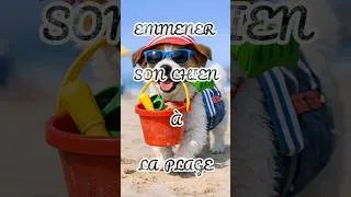 Miniature : Que faut-il prévoir quand on emmène son chien à la plage ? #pourquoi #chiens #plage