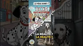 Miniature : Comment un succès Disney a pu causer l'abandon massif de chiens ? #chiens #abandon #comment