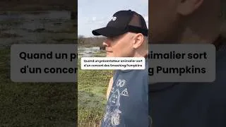 Miniature : Quand un présentateur animalier sort d'un concert de Smashing Pumpkins #smashingpumpkins #humour