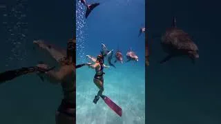Miniature : 😍 So beautiful | from @aylarosee_ | #beautiful #girl #underwater #aesthetic #atmospheric #Shorts