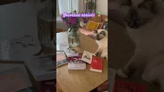 Miniature : Des livres, des fleurs et mon chat 📚💐😻#feminism #books
