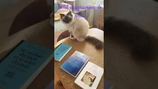 Miniature : Des livres et un chat: Guérir du père, Écrire sa mère, Se vouloir du bien et se faire du mal… #books