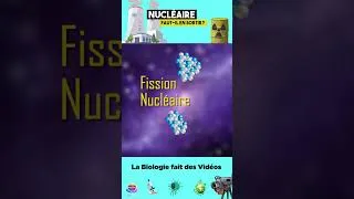 Miniature : Qui a découvert la fission nucléaire?