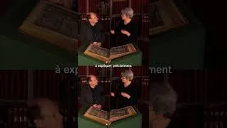 Miniature : Académie de l'épée : la violence chorégraphié