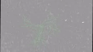 Miniature : video