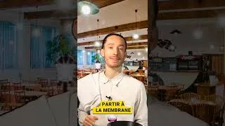 Miniature : Le Golgi nous dit tout sur le "click and collect" de la cellule !