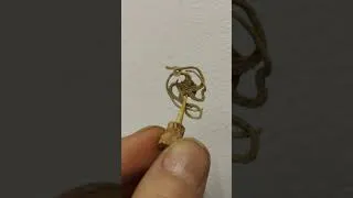 Miniature : The preparation of the smallest starfish i've got !