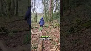 Miniature : Tu Vida, Tu Sabor_2
