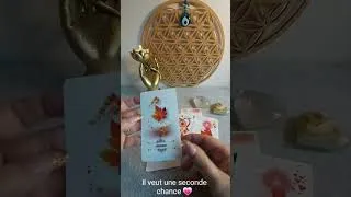 Miniature : Il veut une seconde chance 🍀 💓
