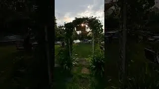 Miniature : Test the vibe at TAULAN SOCIAL HIDEOUT BALI