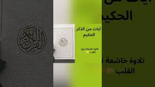 Miniature : #shorts #short #shortvideo #shortsvideo #quran #القرآن_الكريم #youtubeshorts #youtube