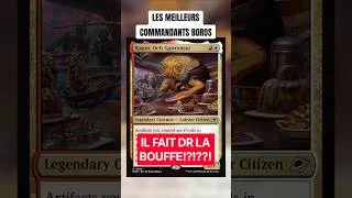 Miniature : TOP 3 DES COMMANDANTS BOROS