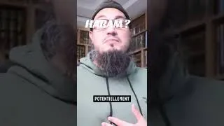 Miniature : 921 / une baguette c'est haram ?