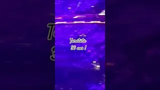 Miniature : Zazie & Jean-Louis Aubert mettent le feu dans la salle pour les 30 ans de Taratata !