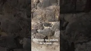 Miniature : Enduits de la cave, comment réparer les enduits qui s’effritent ?