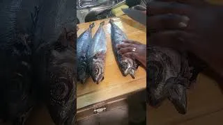 Miniature : POISSON (TOMSON) FISH YUMMY