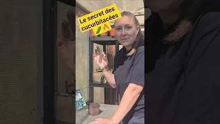 Miniature : Semis de concombres, melons, courgettes : ne faîtes pas cette erreur ! 🥒🎃