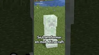 Miniature : Se transformer en mob ce serait cool dans Minecraft en vrai... #minecraft #chunklock #serveur  #java