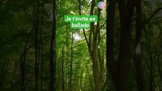 Miniature : La Joyeusphère t'offre 10 minutes de relaxation