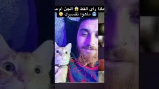 Miniature : Vous trouverez la vidéo complète cliquant sur le lien dans la description #horror #cat #memes #ghost