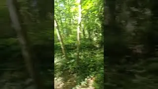 Miniature : Vodoun pou nou se di m, m ap di w