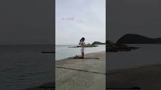 Miniature : Moi je ne voyage jamais sans mon chameau !
