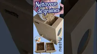 Miniature : Trieur de graines oiseaux nesQ anti‑gaspi & économique - Test complet #shorts