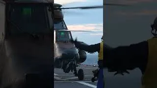 Miniature : Quand l’armée de terre vient nous rendre visite ⚔ #marinenationale #armeedeterre