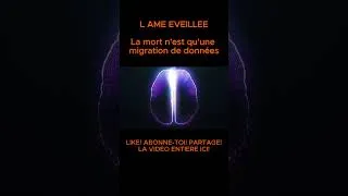 Miniature : La mort n'est qu'une migration de données