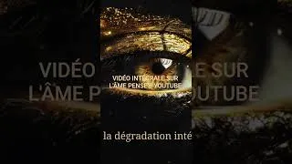Miniature : Qu'est-ce que l'amour ? | L’Âme Pense® – Méta-Réel