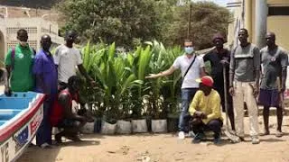 Miniature : Reboisement plage de Ouakam