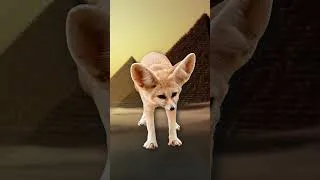 Miniature : L'animal le plus mystérieux de l'Égypte antique ?  #mythologie #shorts