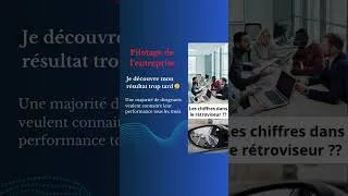 Miniature : Le pilotage de l'entreprise