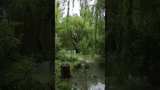 Miniature : Un petit moment zen
