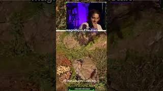 Miniature : Les festin des marcassins  #twitch #adorableadventure