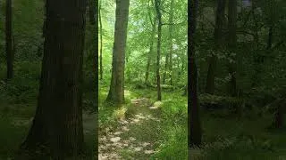 Miniature : 30 secondes de nature pour respirer