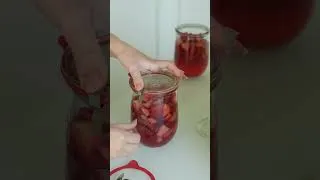 Miniature : 🍓 Stérilisateur Prima Vista – Du jardin directement dans vos bocaux !