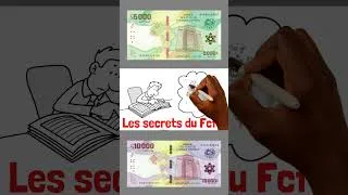 Miniature : Les sales secrets du Franc CFA