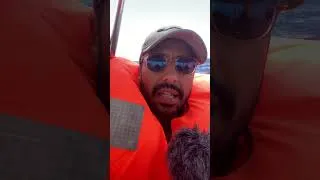 Miniature : 🔴 EN DIRECT: Interception de la Flotille Sumud par la marine is. #breakingnews #globalsumudflotilla