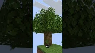 Miniature : Qu'est-ce qui ce passe lorsque tu enfermes 2 JOUEURS en Skyblock sur Minecraft Hardcore ?
