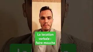 Miniature : faire mouche