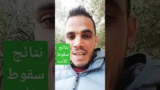 Miniature : ماذا تحقق بعد سقوط بشار الاسد؟