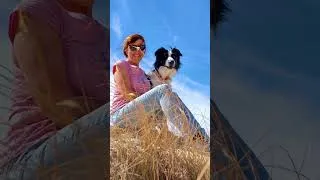 Miniature : Ma vanlife